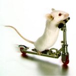 Ratmick's Avatar